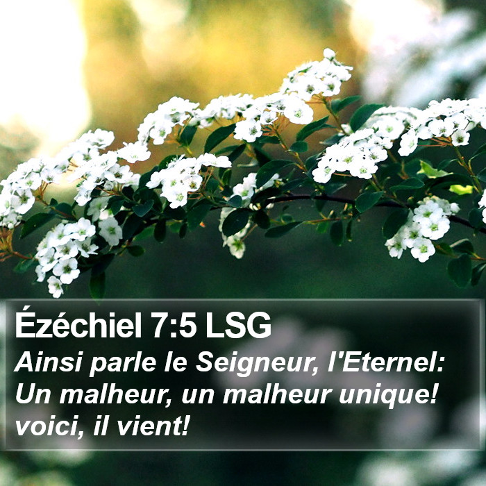 Ézéchiel 7:5 LSG Bible Study