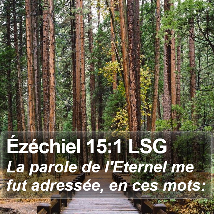 Ézéchiel 15:1 LSG Bible Study
