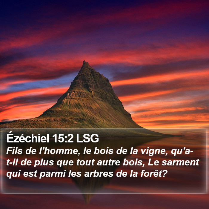 Ézéchiel 15:2 LSG Bible Study