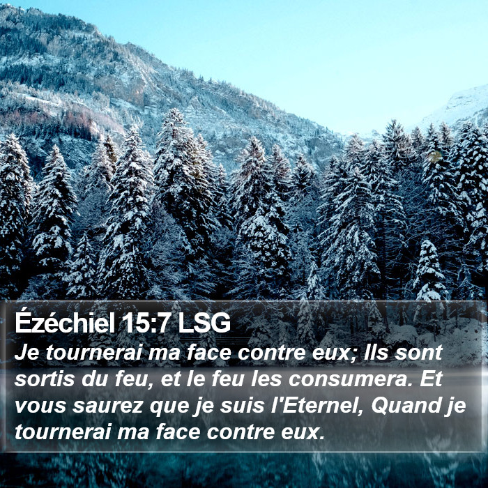 Ézéchiel 15:7 LSG Bible Study