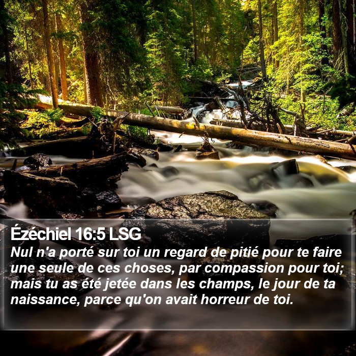 Ézéchiel 16:5 LSG Bible Study