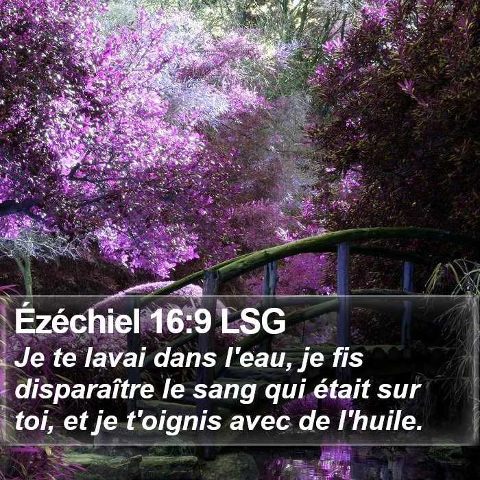 Ézéchiel 16:9 LSG Bible Study