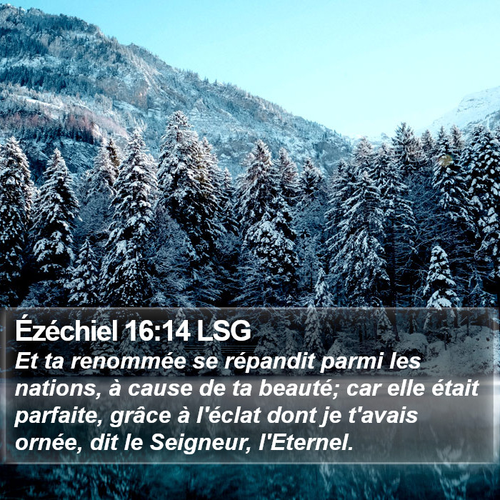 Ézéchiel 16:14 LSG Bible Study