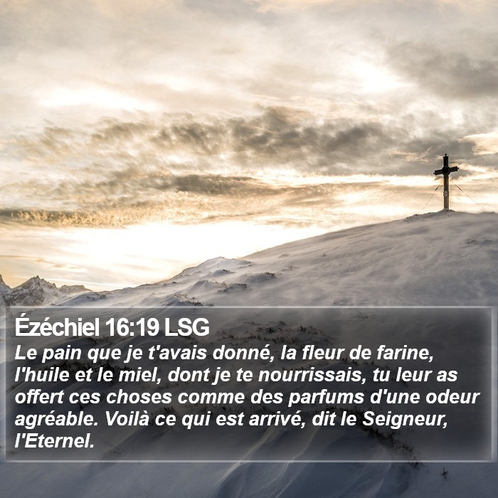 Ézéchiel 16:19 LSG Bible Study