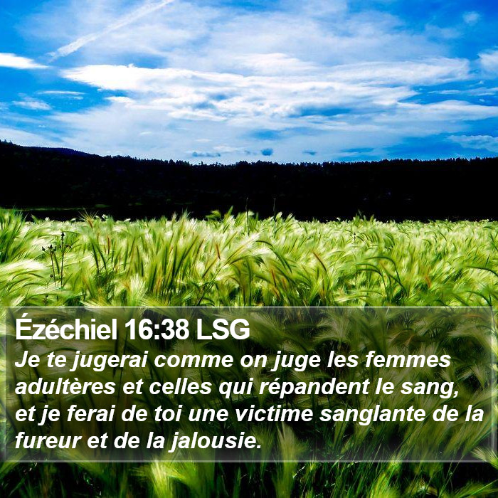 Ézéchiel 16:38 LSG Bible Study