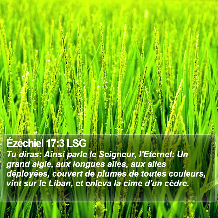 Ézéchiel 17:3 LSG Bible Study