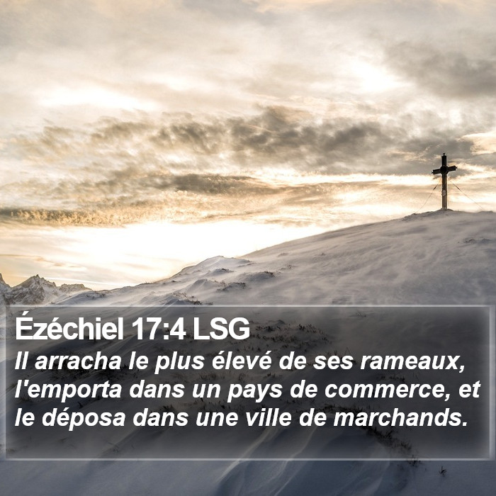 Ézéchiel 17:4 LSG Bible Study