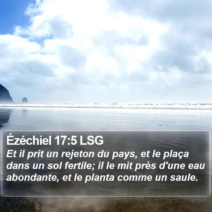 Ézéchiel 17:5 LSG Bible Study