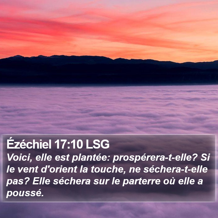 Ézéchiel 17:10 LSG Bible Study