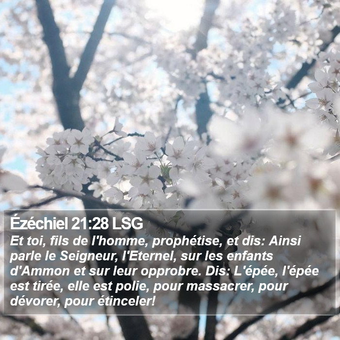 Ézéchiel 21:28 LSG Bible Study