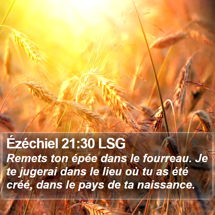 Ézéchiel 21:30 LSG Bible Study
