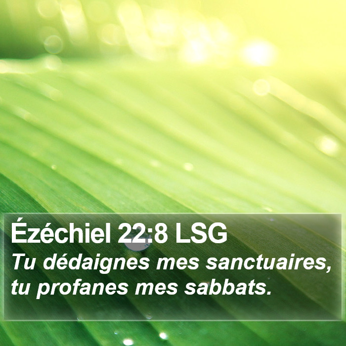 Ézéchiel 22:8 LSG Bible Study