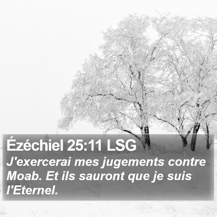 Ézéchiel 25:11 LSG Bible Study