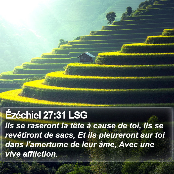 Ézéchiel 27:31 LSG Bible Study