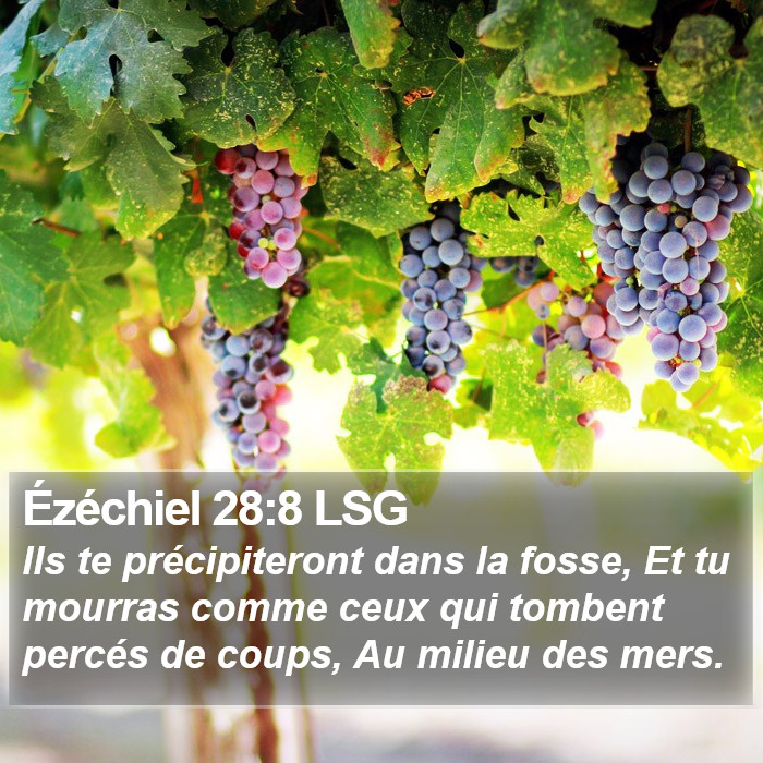 Ézéchiel 28:8 LSG Bible Study