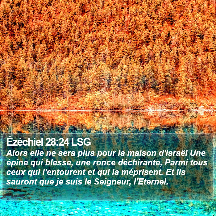 Ézéchiel 28:24 LSG Bible Study