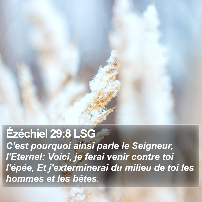 Ézéchiel 29:8 LSG Bible Study