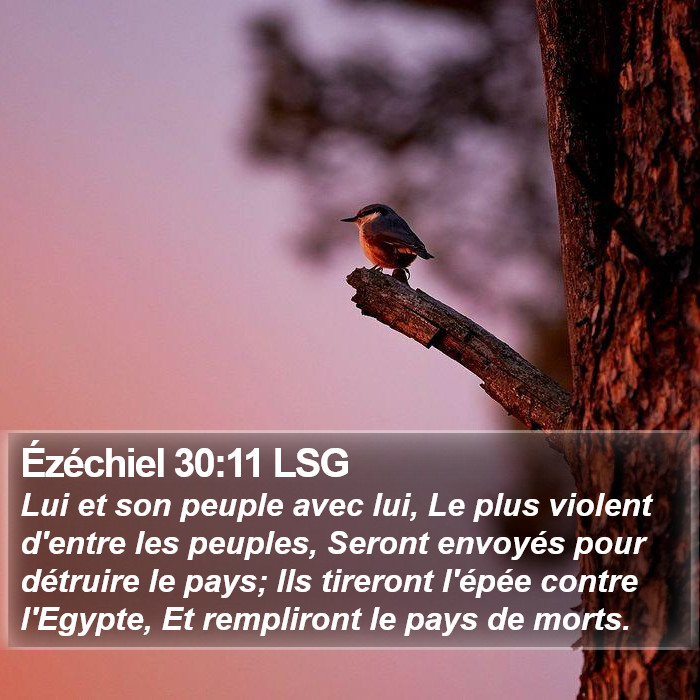 Ézéchiel 30:11 LSG Bible Study