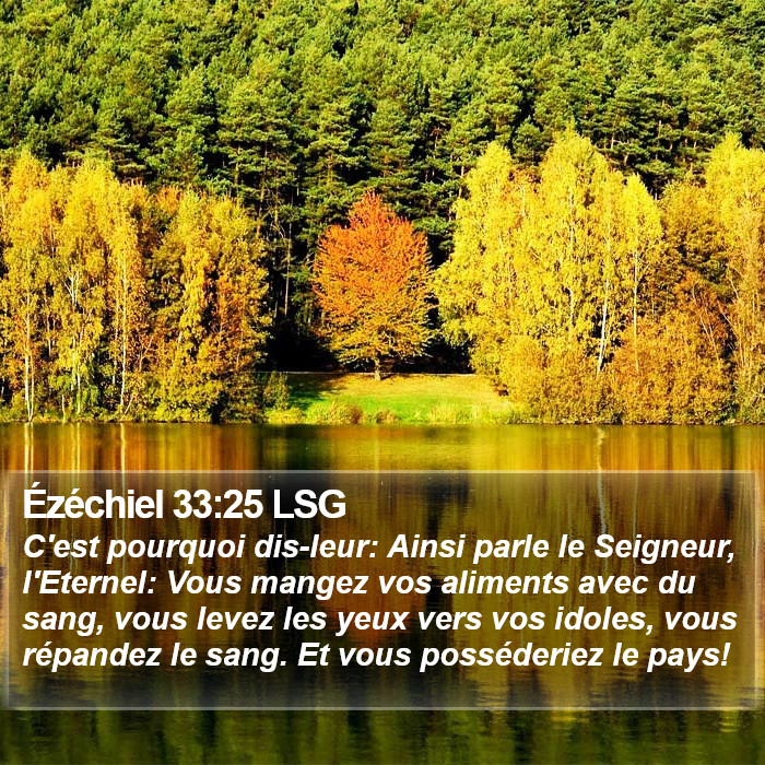 Ézéchiel 33:25 LSG Bible Study