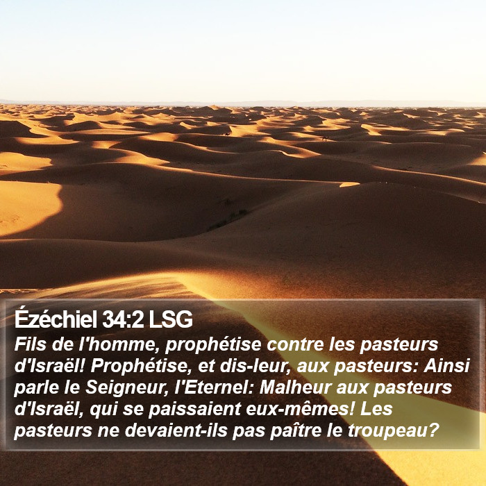 Ézéchiel 34:2 LSG Bible Study