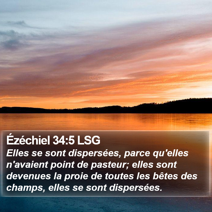Ézéchiel 34:5 LSG Bible Study