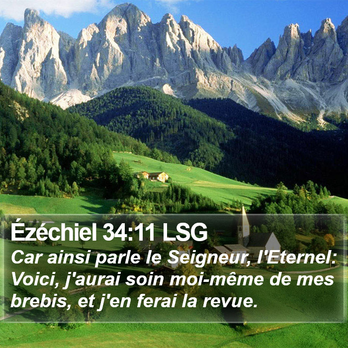 Ézéchiel 34:11 LSG Bible Study