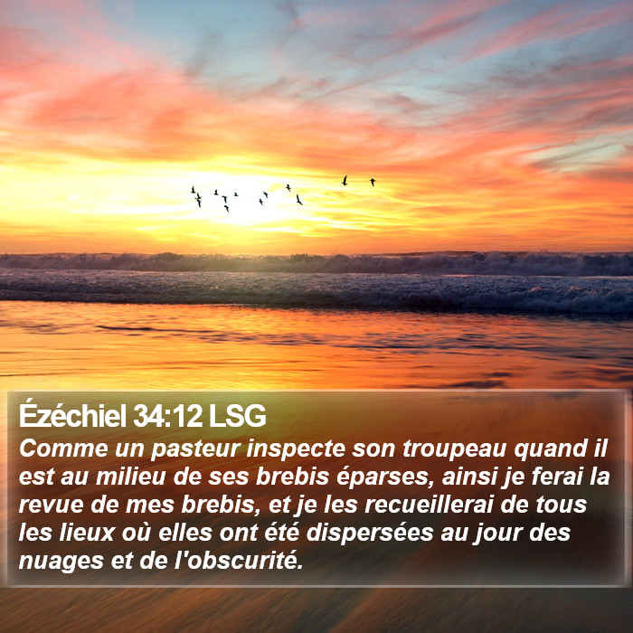 Ézéchiel 34:12 LSG Bible Study