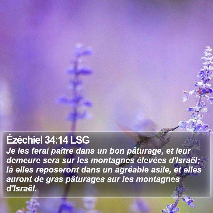 Ézéchiel 34:14 LSG Bible Study