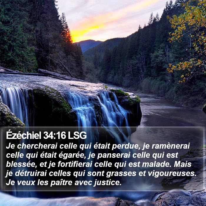 Ézéchiel 34:16 LSG Bible Study