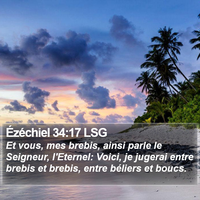 Ézéchiel 34:17 LSG Bible Study