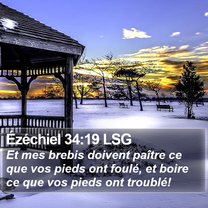 Ézéchiel 34:19 LSG Bible Study