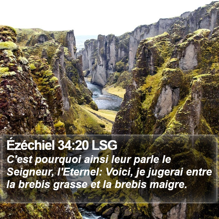 Ézéchiel 34:20 LSG Bible Study