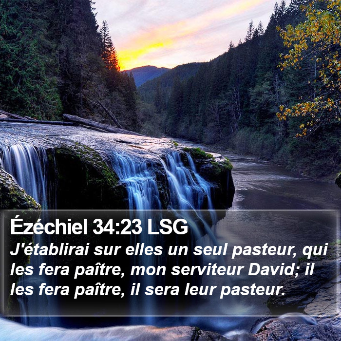 Ézéchiel 34:23 LSG Bible Study