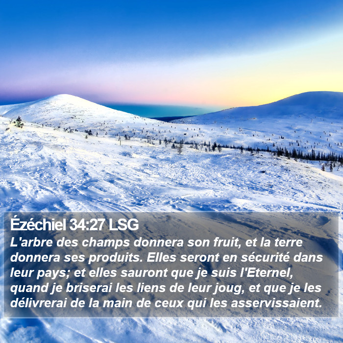Ézéchiel 34:27 LSG Bible Study