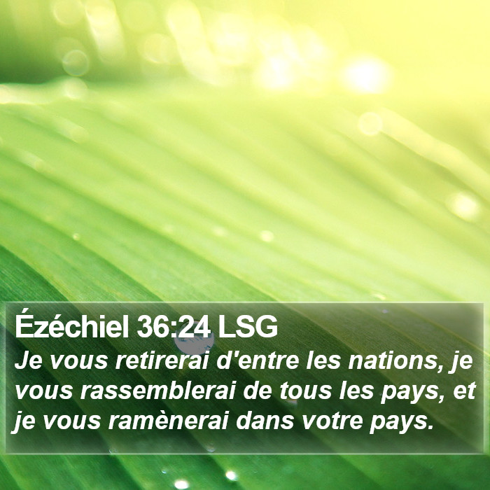 Ézéchiel 36:24 LSG Bible Study