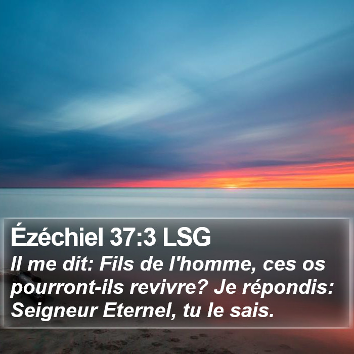 Ézéchiel 37:3 LSG Bible Study
