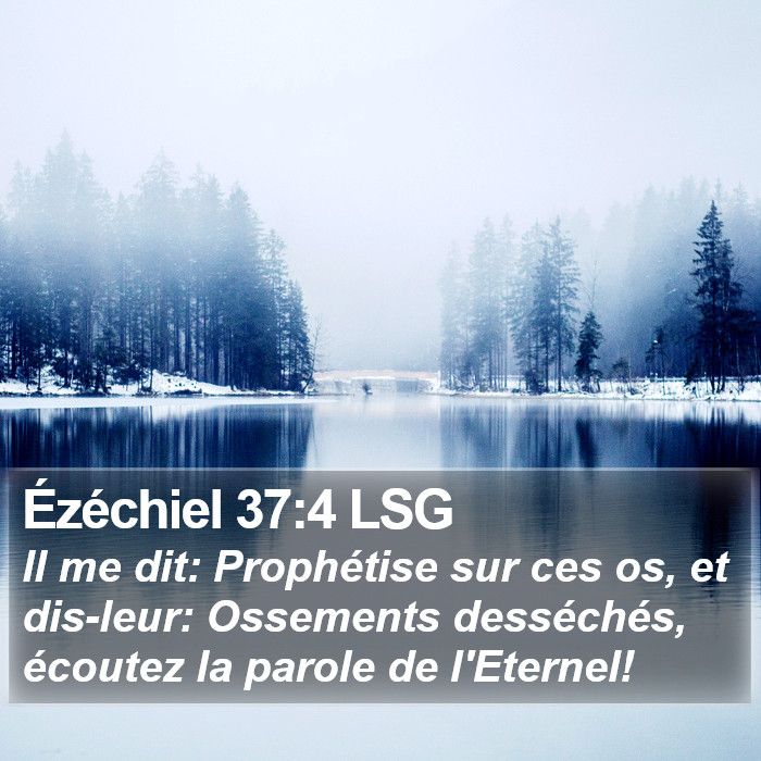 Ézéchiel 37:4 LSG Bible Study