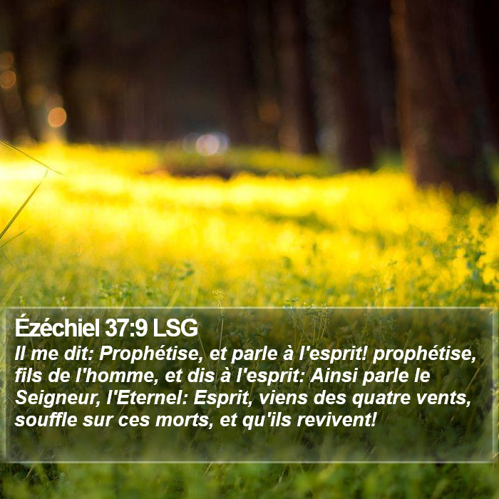 Ézéchiel 37:9 LSG Bible Study