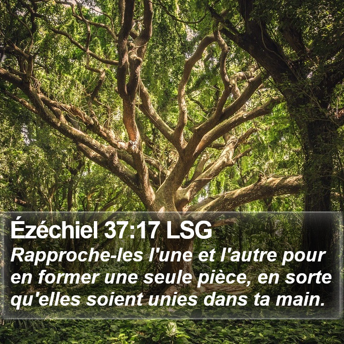 Ézéchiel 37:17 LSG Bible Study