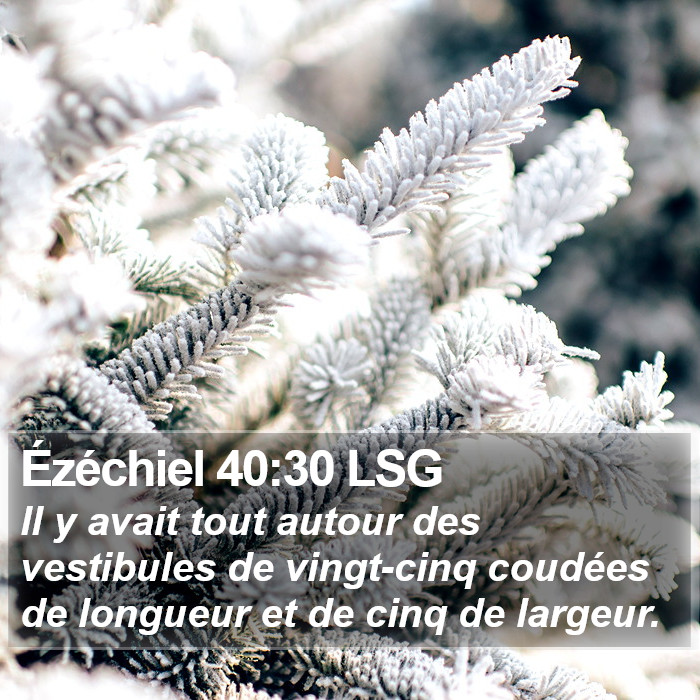 Ézéchiel 40:30 LSG Bible Study