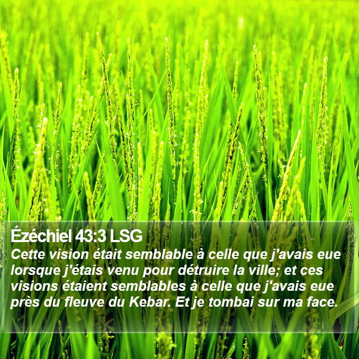 Ézéchiel 43:3 LSG Bible Study