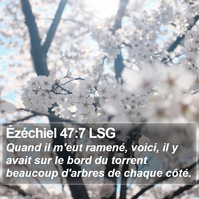 Ézéchiel 47:7 LSG Bible Study