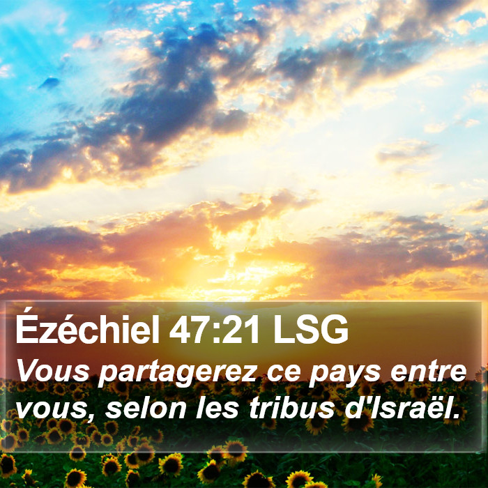 Ézéchiel 47:21 LSG Bible Study