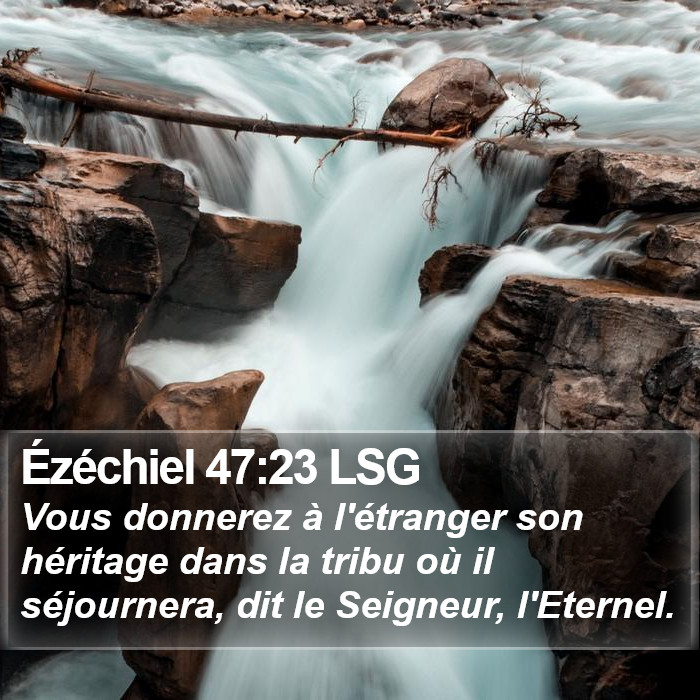 Ézéchiel 47:23 LSG Bible Study