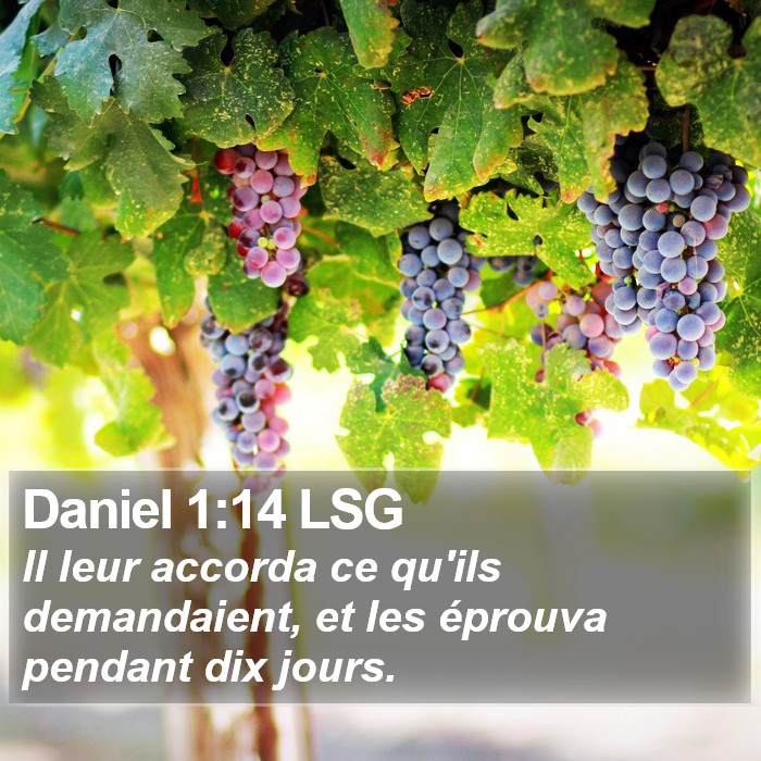 Daniel 1:14 LSG Bible Study