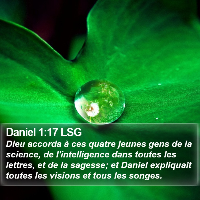 Daniel 1:17 LSG Bible Study