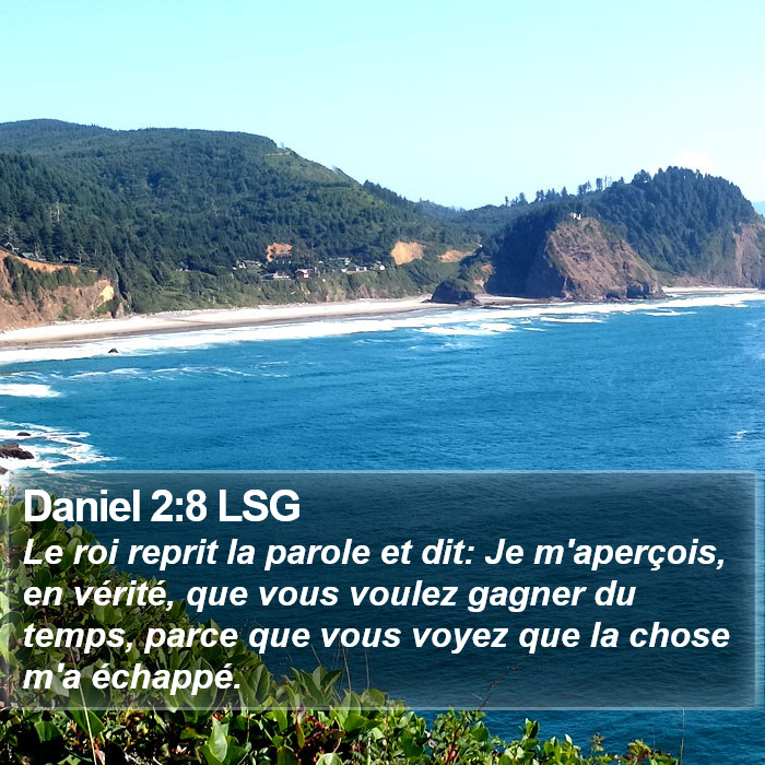 Daniel 2:8 LSG Bible Study