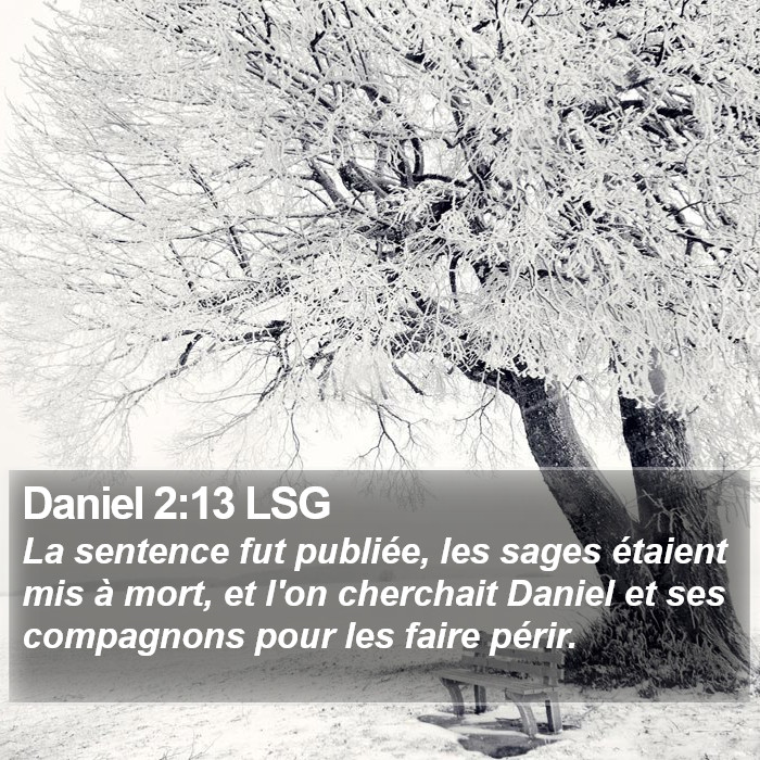 Daniel 2:13 LSG Bible Study