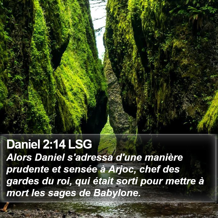 Daniel 2:14 LSG Bible Study