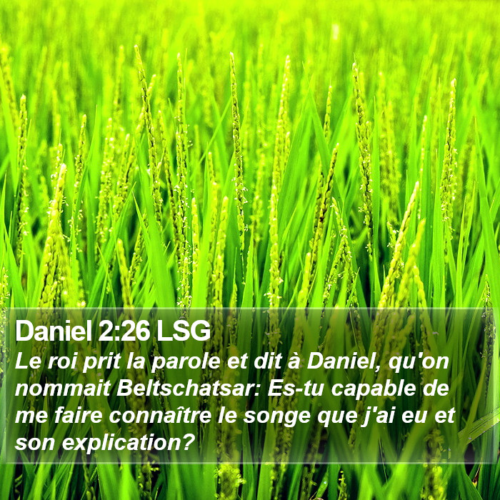 Daniel 2:26 LSG Bible Study